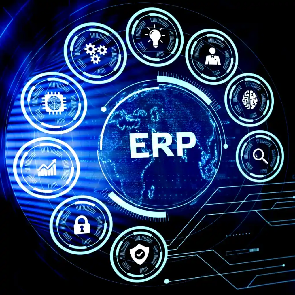 erp security assessment and consulting services in uae