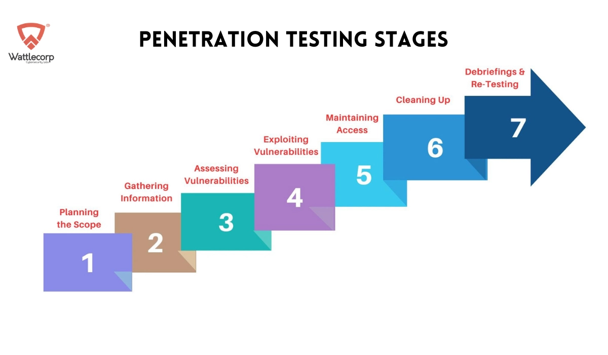 Penetration Testing Stages