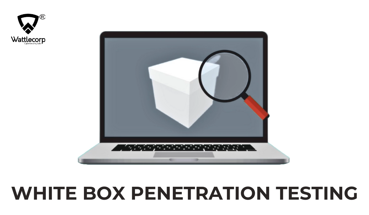 white box penetration testing