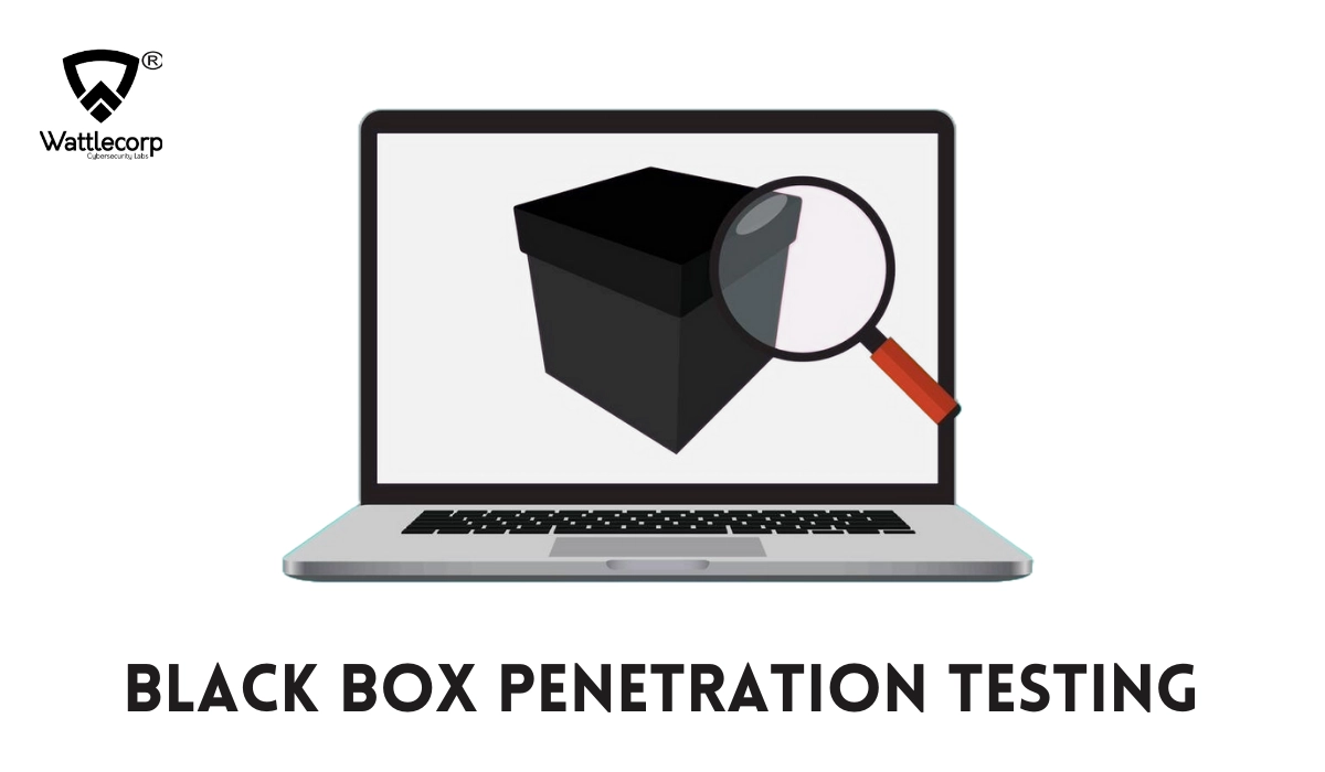 black box penetration testing