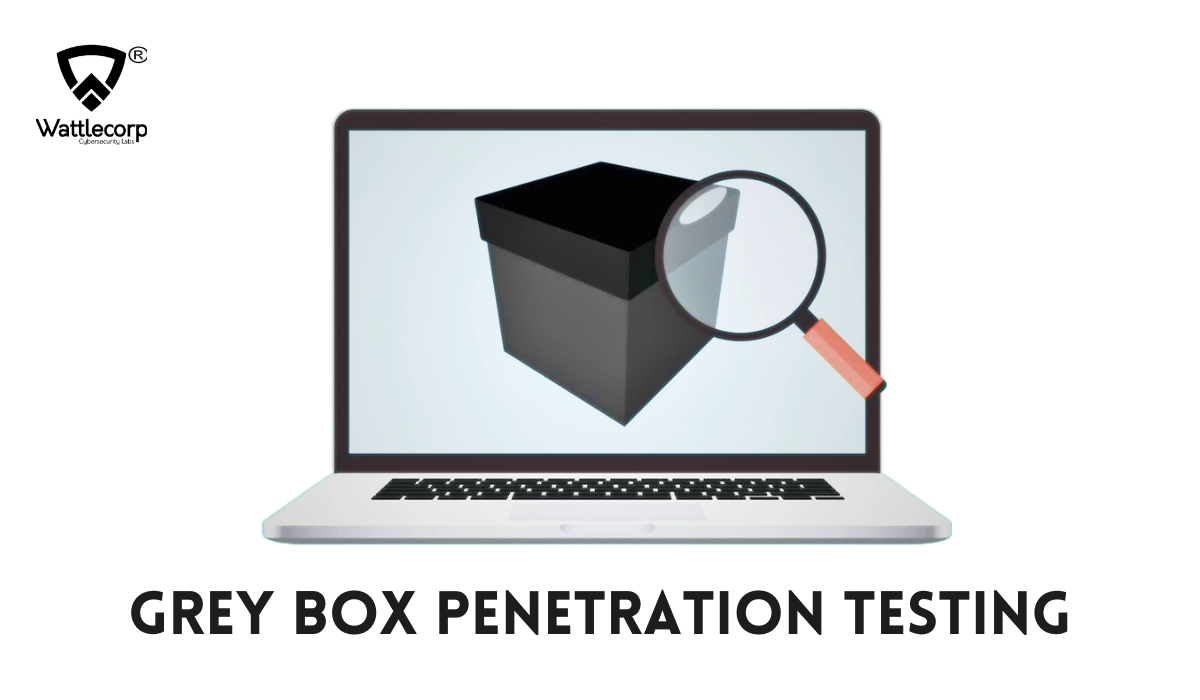 grey box penetration testing