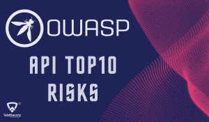 OWASP API Top 10