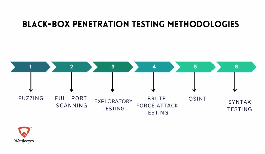 Black-Box Penetration Testing Methodologies