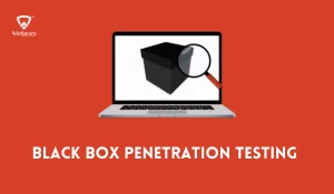 Black Box Penetration Testing