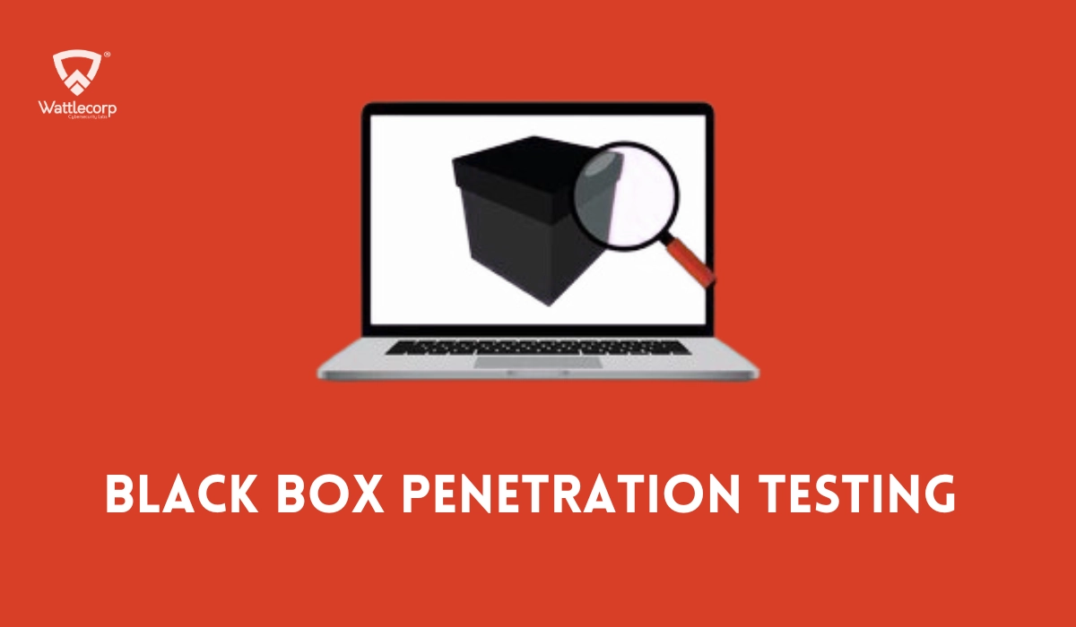 Black Box Penetration Testing