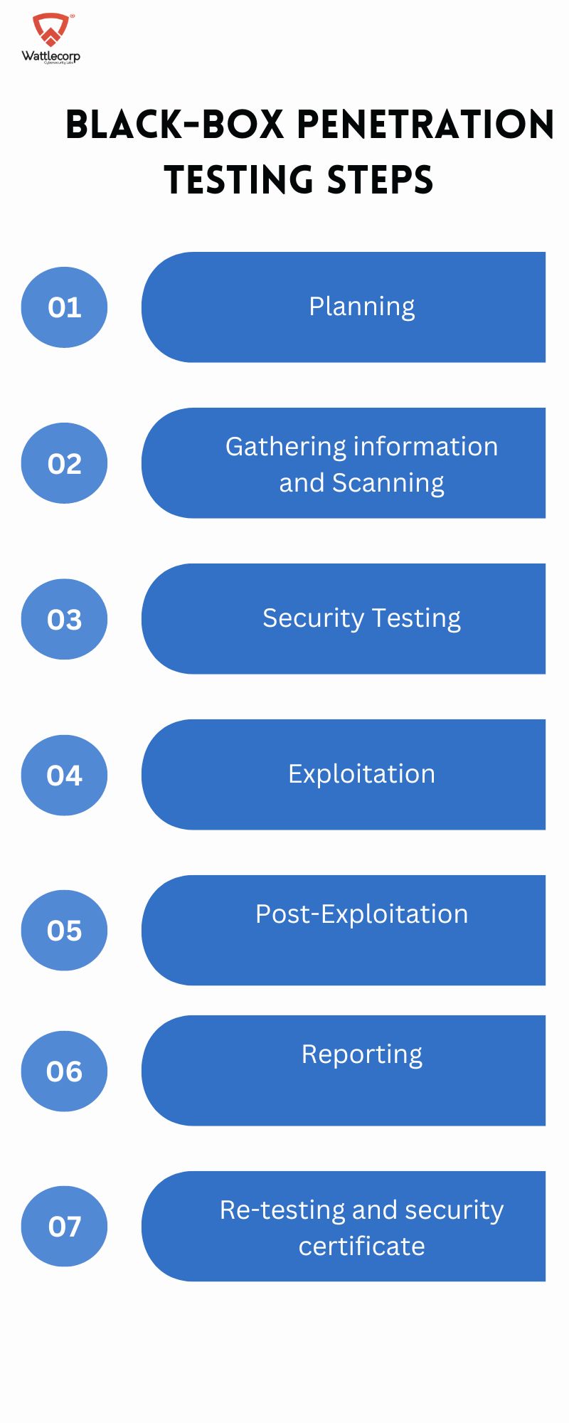 Blackbox penetration Testing Steps