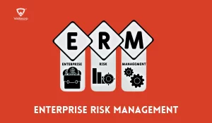 Enterprise Risk Management