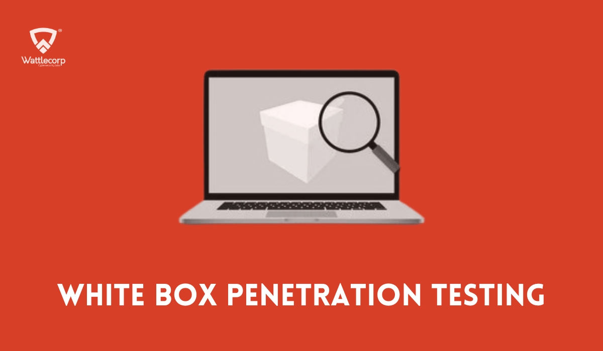 What is white box penetration testing