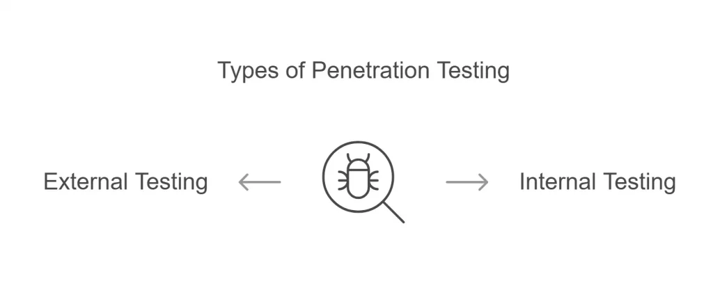 Internal vs External Penetration Testing: Which is Right for Your Business?